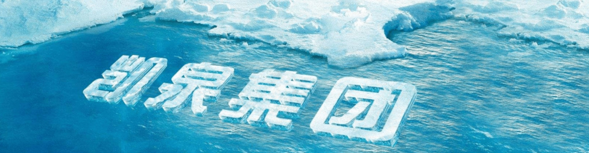 ˾